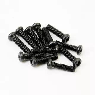 FTX HAVOK PANHEAD SCREWS 2.5 x 10MM (12pc)