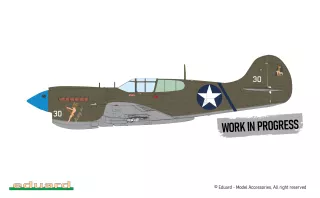 eduard-148-p-40k-warhawk-dual-combo-069d8dad6bb803.jpg