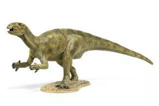 tamiya-135-fukuisaurus-clic-loc-06a6b3ad581b84.jpg