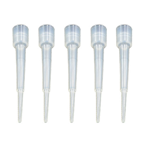 22685362d662645576d.jpg