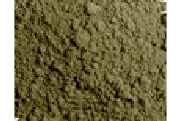 23622762d670f548e40.jpg