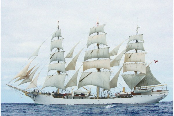 23630562d670fcb2883.jpg