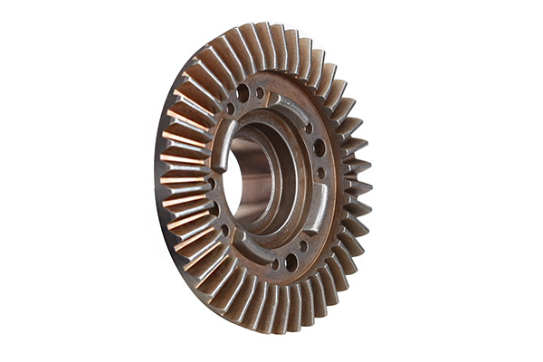 6215df16cd299.jpg