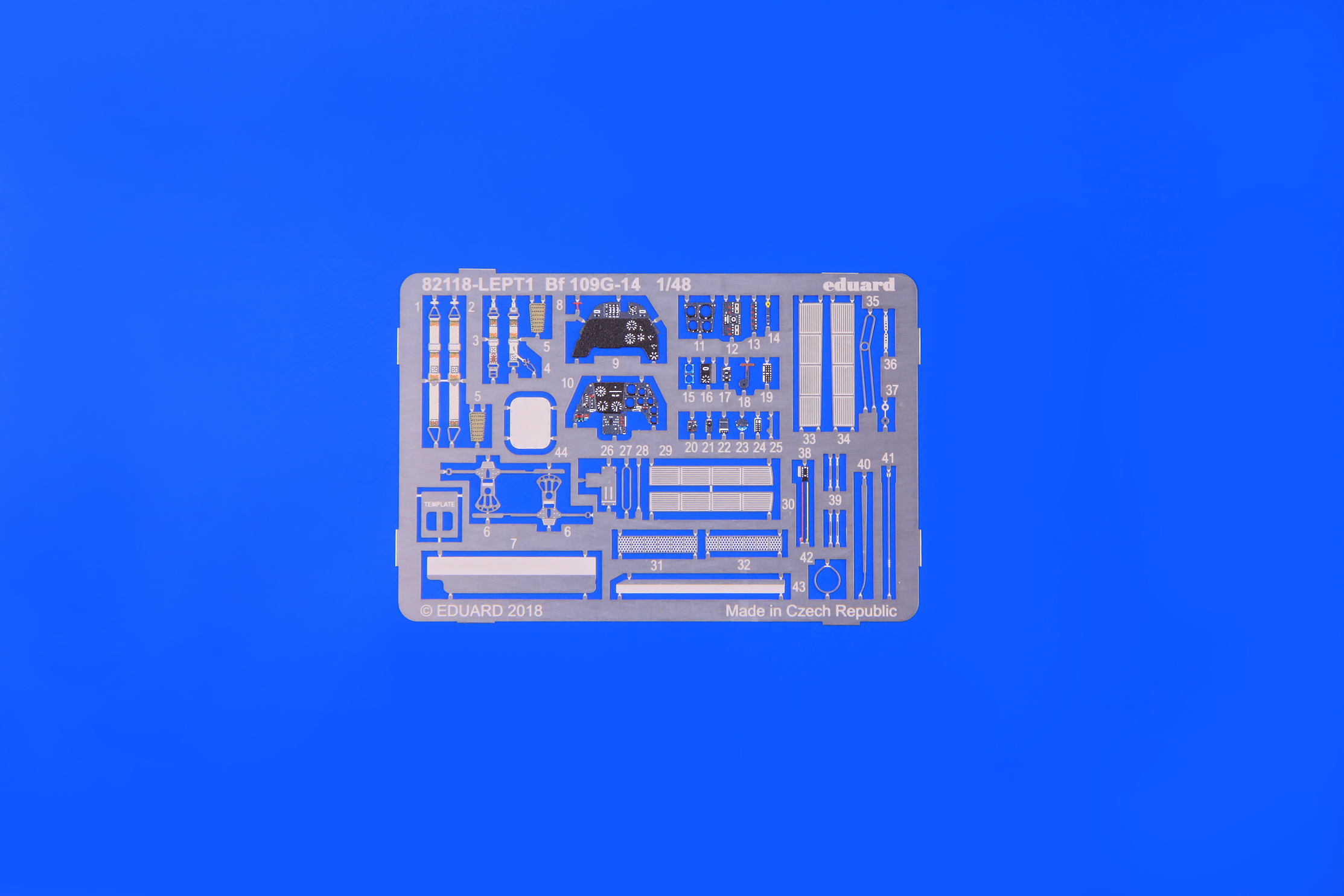 6215e2fe9926b.jpg