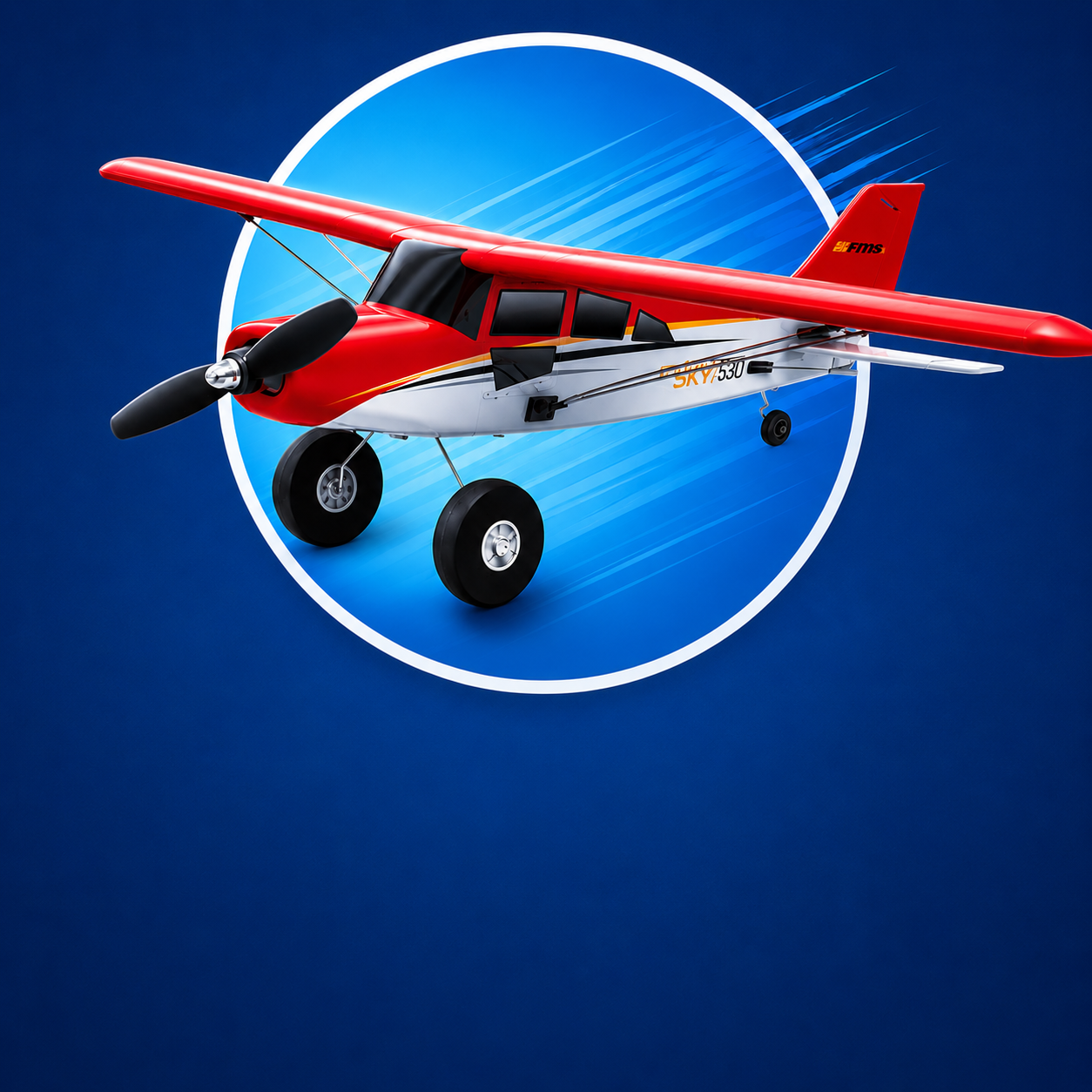 Electric RC planes